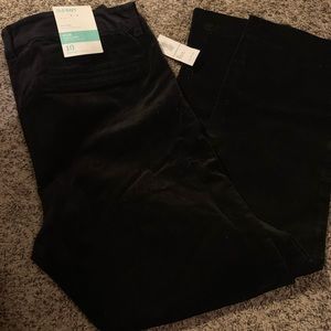 Velvet black pixie pants